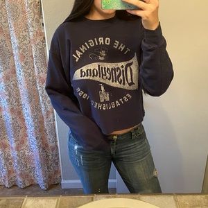 💙🦋Navy Disneyland crew neck sweater